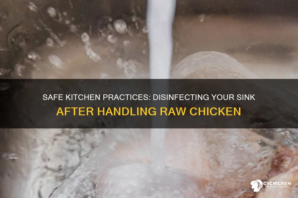 how to disinfect sink after raw chicken