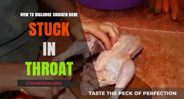 Dislodging a Chicken Bone: Quick and Safe Methods