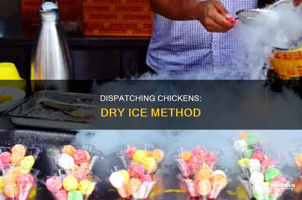how to dispatch a chicken with dry ice