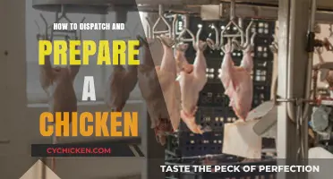 Mastering Chicken Dispatch and Preparation: A Step-by-Step Guide