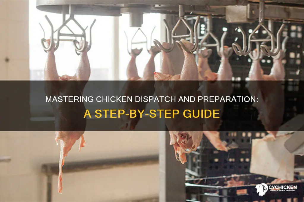 how to dispatch and prepare a chicken