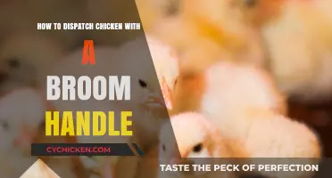 A Humane Way to Dispatch Chicken with Broom Handle