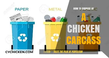 Eco-Friendly Ways to Dispose of a Chicken Carcass Safely