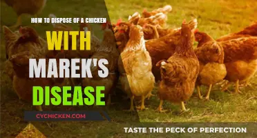 Dispose of Marek's Disease-Infected Chickens Safely and Humanely