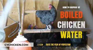 Eco-Friendly Tips for Disposing of Boiled Chicken Water Safely