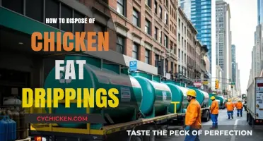 Eco-Friendly Ways to Dispose of Chicken Fat Drippings Safely