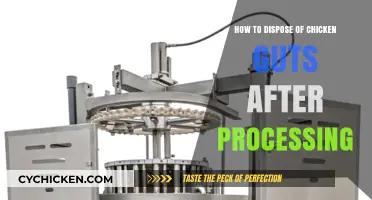 The Safe Disposal of Chicken Guts After Processing
