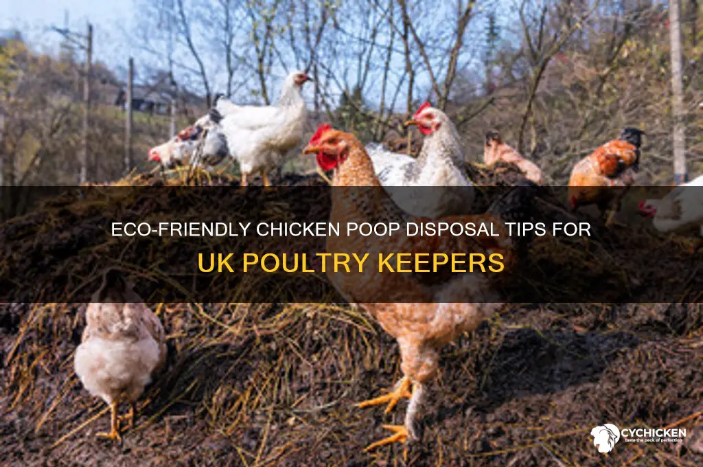 how to dispose of chicken poop uk