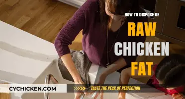 Safe and Eco-Friendly Ways to Dispose of Raw Chicken Fat