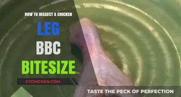 Dissecting Chicken Legs: A Step-by-Step Guide