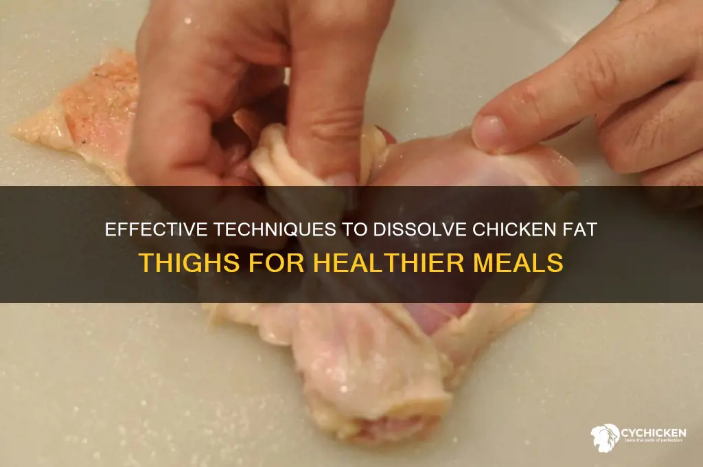 how to dissolve chicken fat thighs