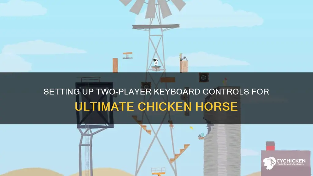 how to do 2 player keyboard on ultimate chicken horse