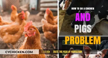 Solving Chicken-and-Pig Problems: Strategies for Complex Scenarios