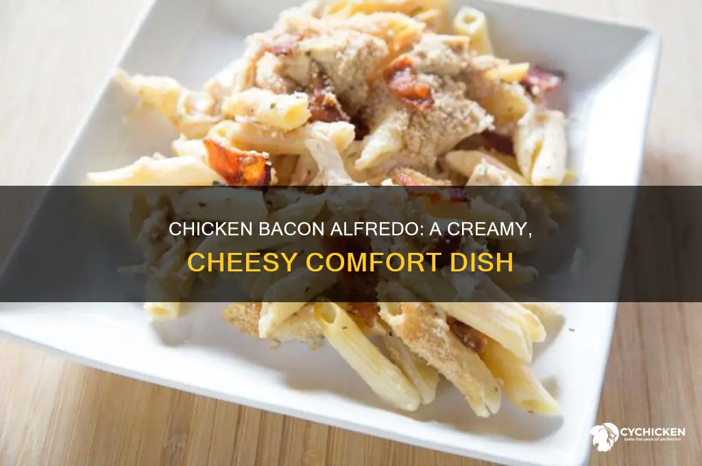 how to do a chicken bacon alfredo pasta