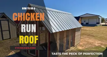 Building a Durable and Safe Chicken Run Roof: Step-by-Step Guide