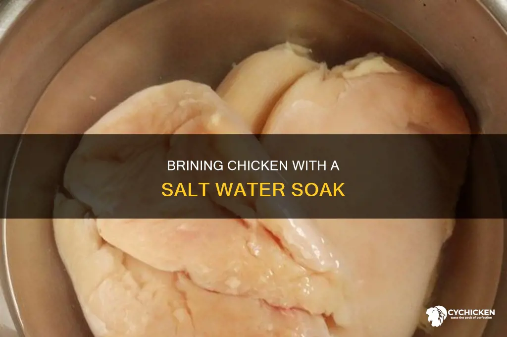 how to do a salt water soak chicken