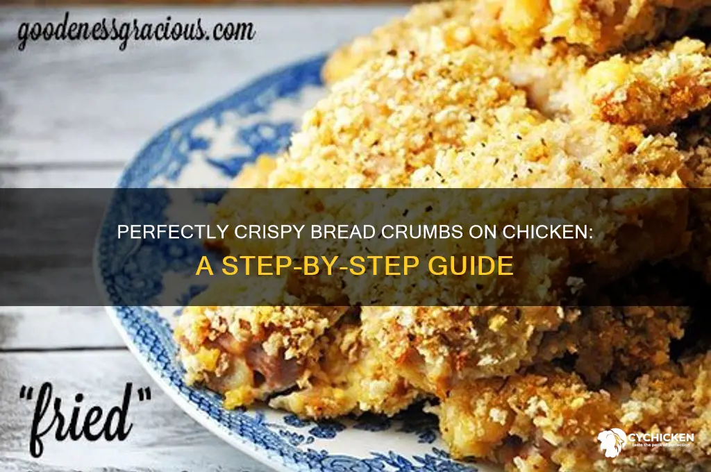 how to do bread crumbs on chicken