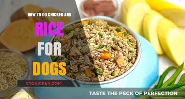 Chicken & Rice: A Dog's Comfort Food Guide