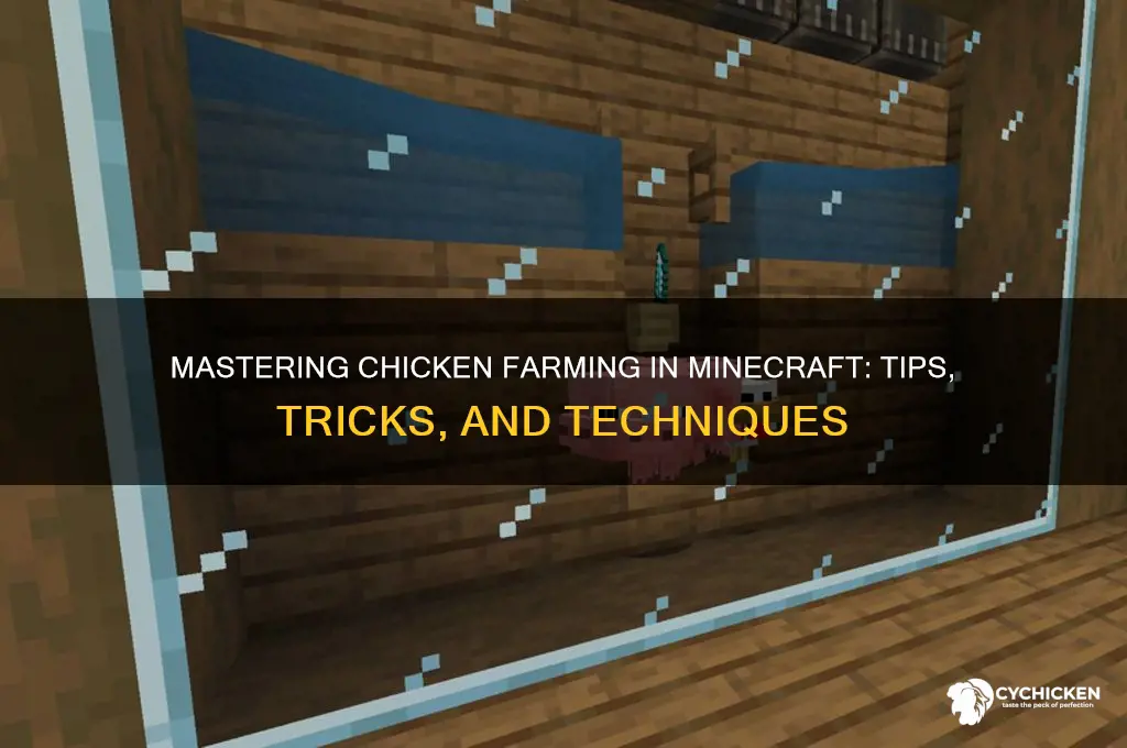 how to do chicken farm in minecrat