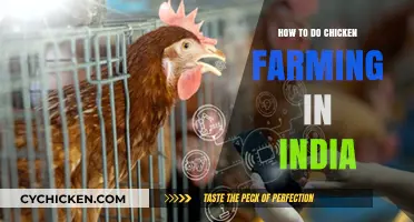 Profitable Chicken Farming in India: A Comprehensive Guide for Beginners