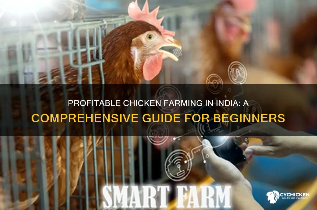how to do chicken farming in india