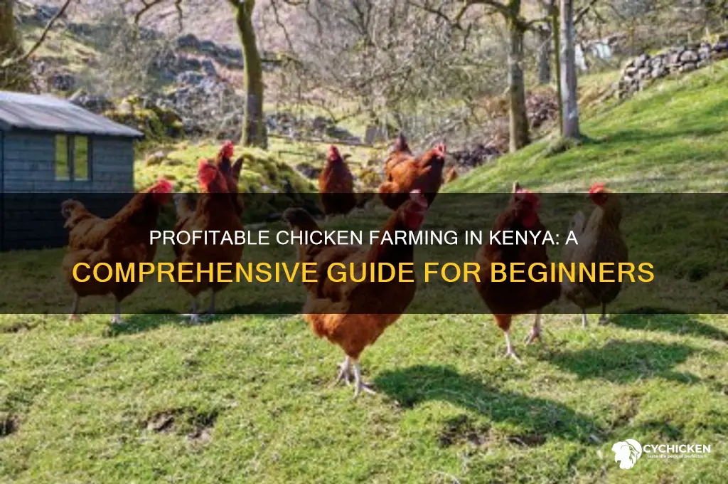 how to do chicken farming in kenya