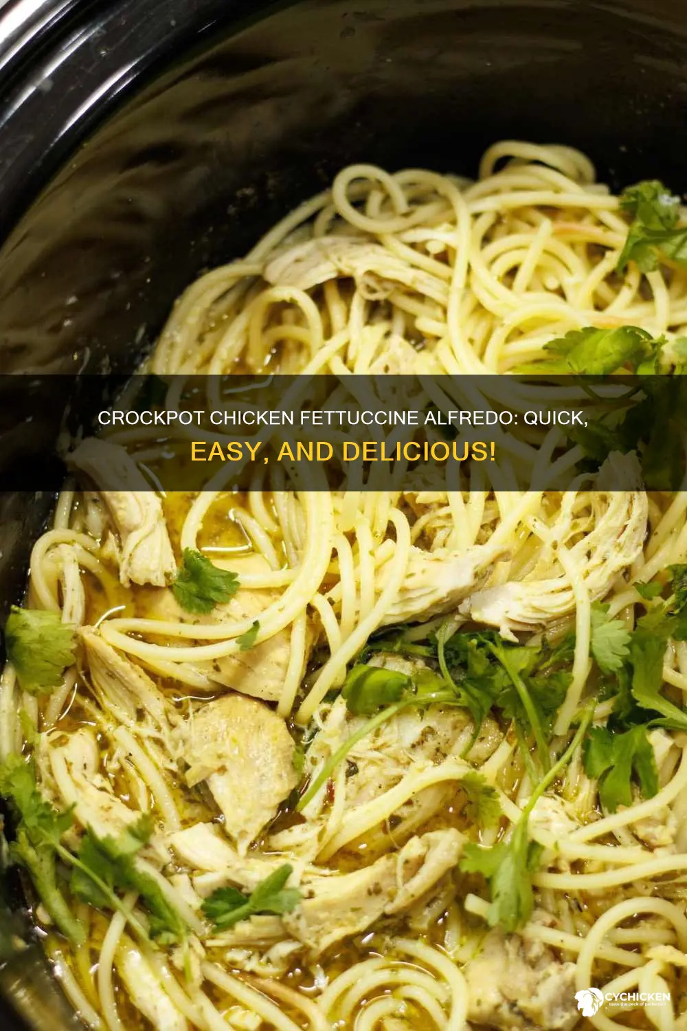 how to do chicken fettuccine alfredo in the crockpot