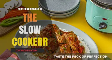 Slow-Cooked Chicken Secrets: Tender, Juicy, and Flavorful