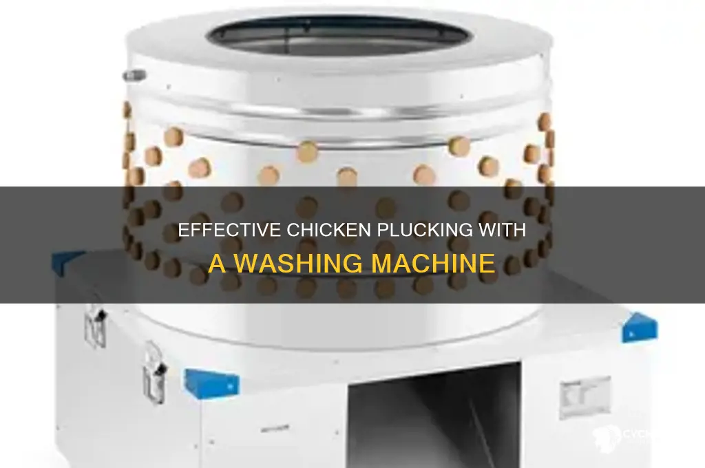 how to do chicken pluck from washer machine