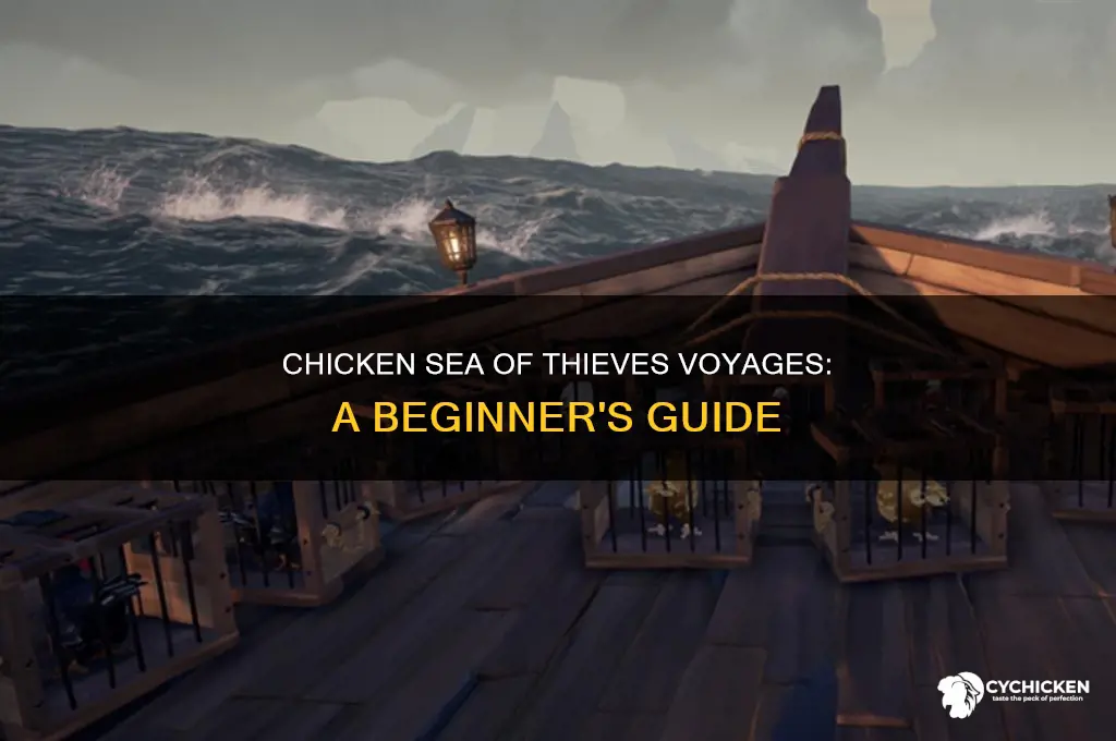 how to do chicken sea of thieves voyages
