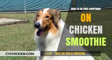 Free Chicken Smoothie Adoptions: A Step-by-Step Guide for Beginners