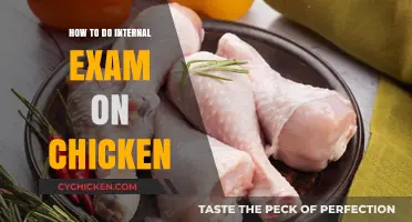 Mastering Chicken Internal Exams: A Step-by-Step Guide for Beginners