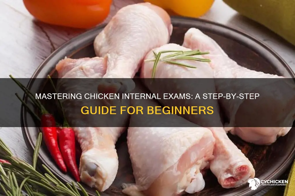 how to do internal exam on chicken