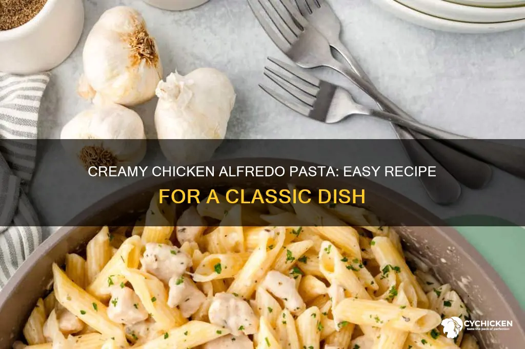 how to do pasta alfredo with chicken