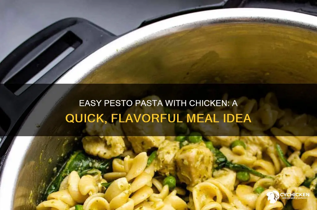 how to do pesto pasta with chicken