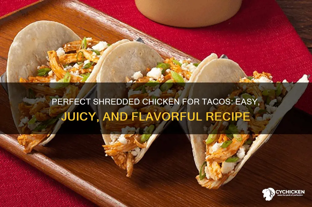 how to do shredded chicken for tacos