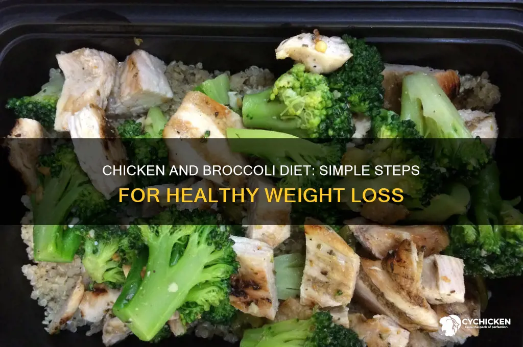 how to do the chicken and broccoli diet