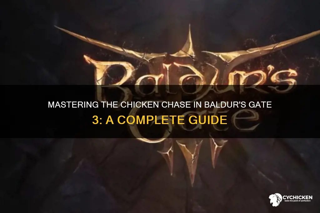 how to do the chicken chase bg3