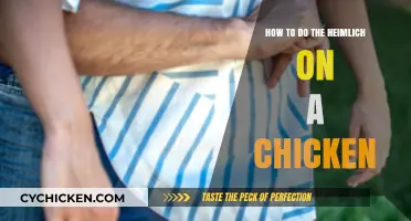Emergency Poultry First Aid: Mastering the Heimlich Maneuver for Chickens