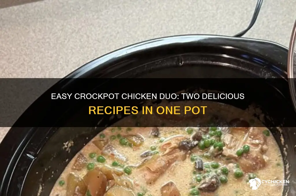 how to do two different chicken in crockpot