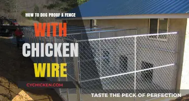 Dog-Proof Your Fence: Chicken Wire Installation Guide