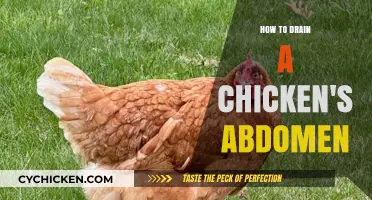 Step-by-Step Guide to Properly Draining a Chicken's Abdomen