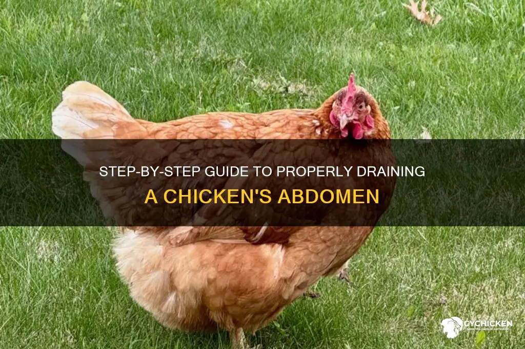 how to drain a chicken