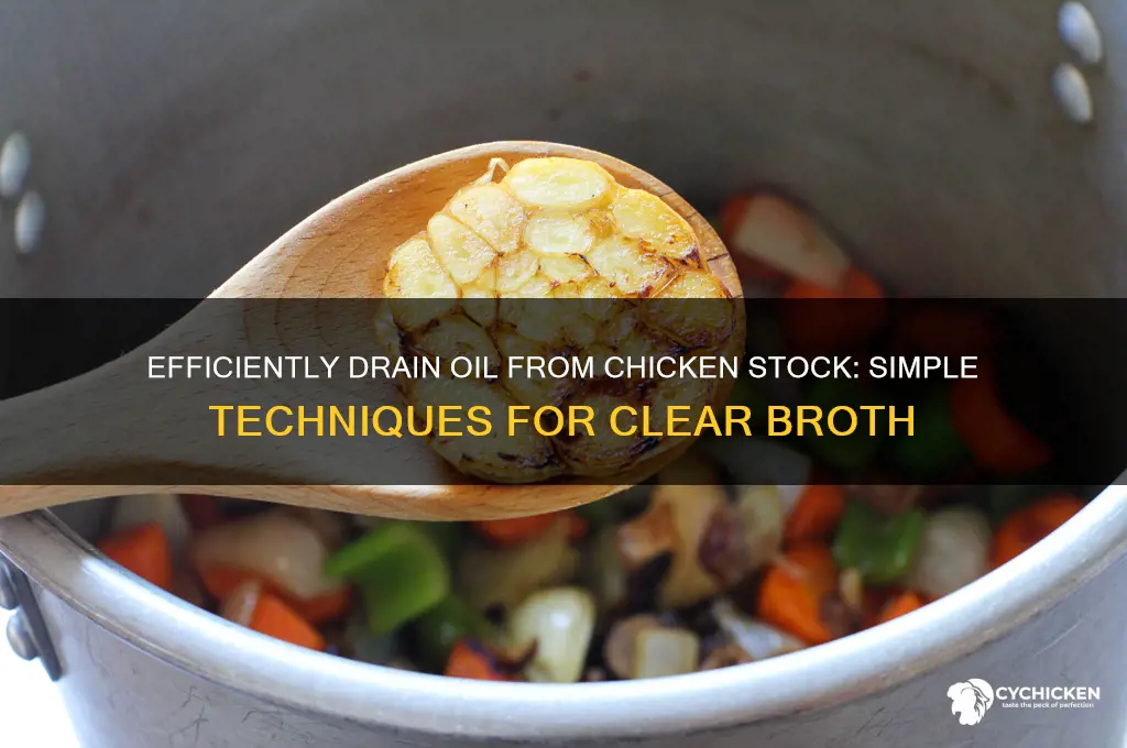 how to drain oil from chicken stock
