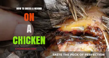 Caring for Your Flock: A Guide to Dressing Chicken Wounds
