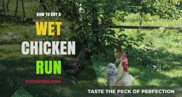 Quick Tips to Dry Your Wet Chicken Run Effectively