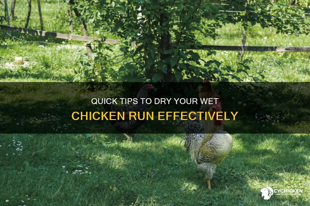 how to dry a wet chicken run
