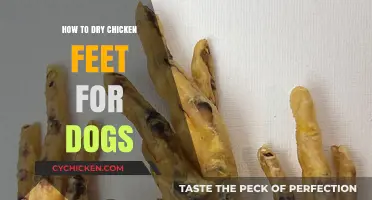 Drying Chicken Feet for Dogs: A Simple, Healthy Treat Guide
