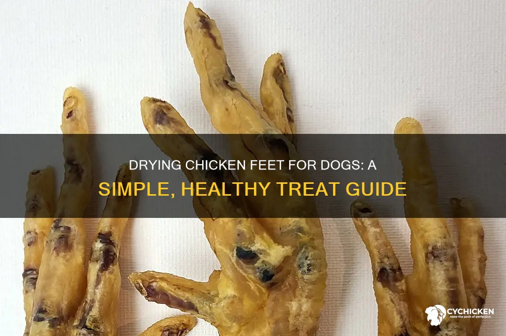 how to dry chicken feet for dogs