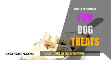 Easy Homemade Chicken Dog Treats: Perfect Drying Techniques Revealed